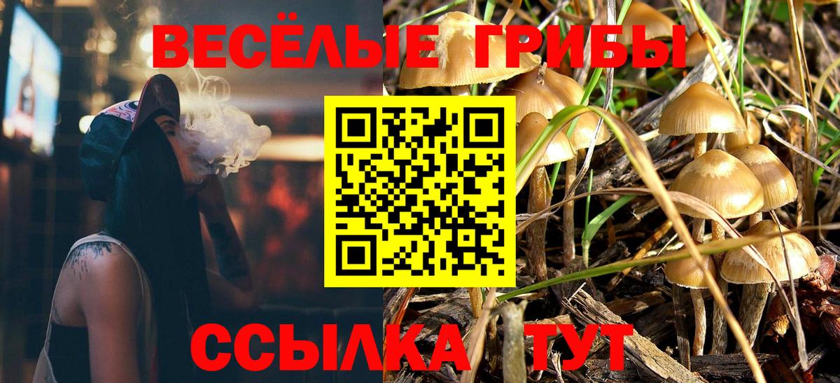 Урюпинск  Галлюциногенные грибы GOLDEN TEACHER  Вход с VPN 
