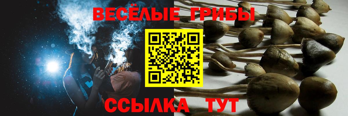 Галлюциногенные грибы MAGIC MUSHROOMS Урюпинск